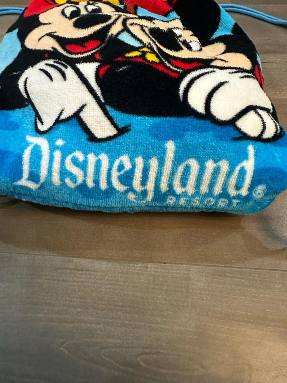 Disney fun summer